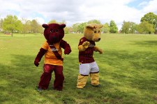Sponsored Walk 19